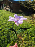 Lys fil chenille