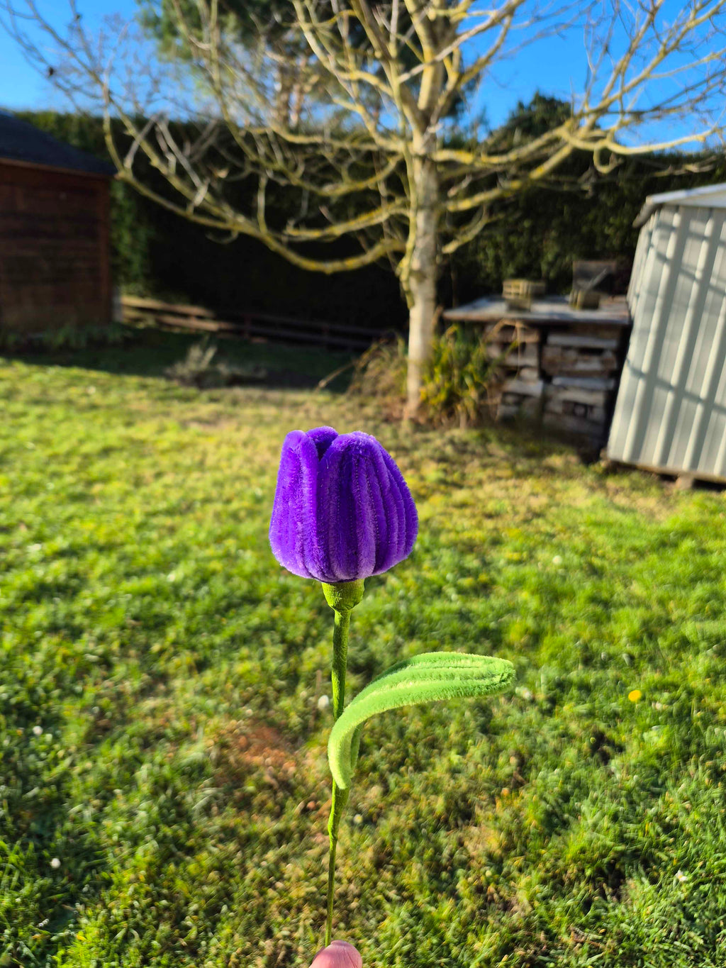 Tulipe fil chenille
