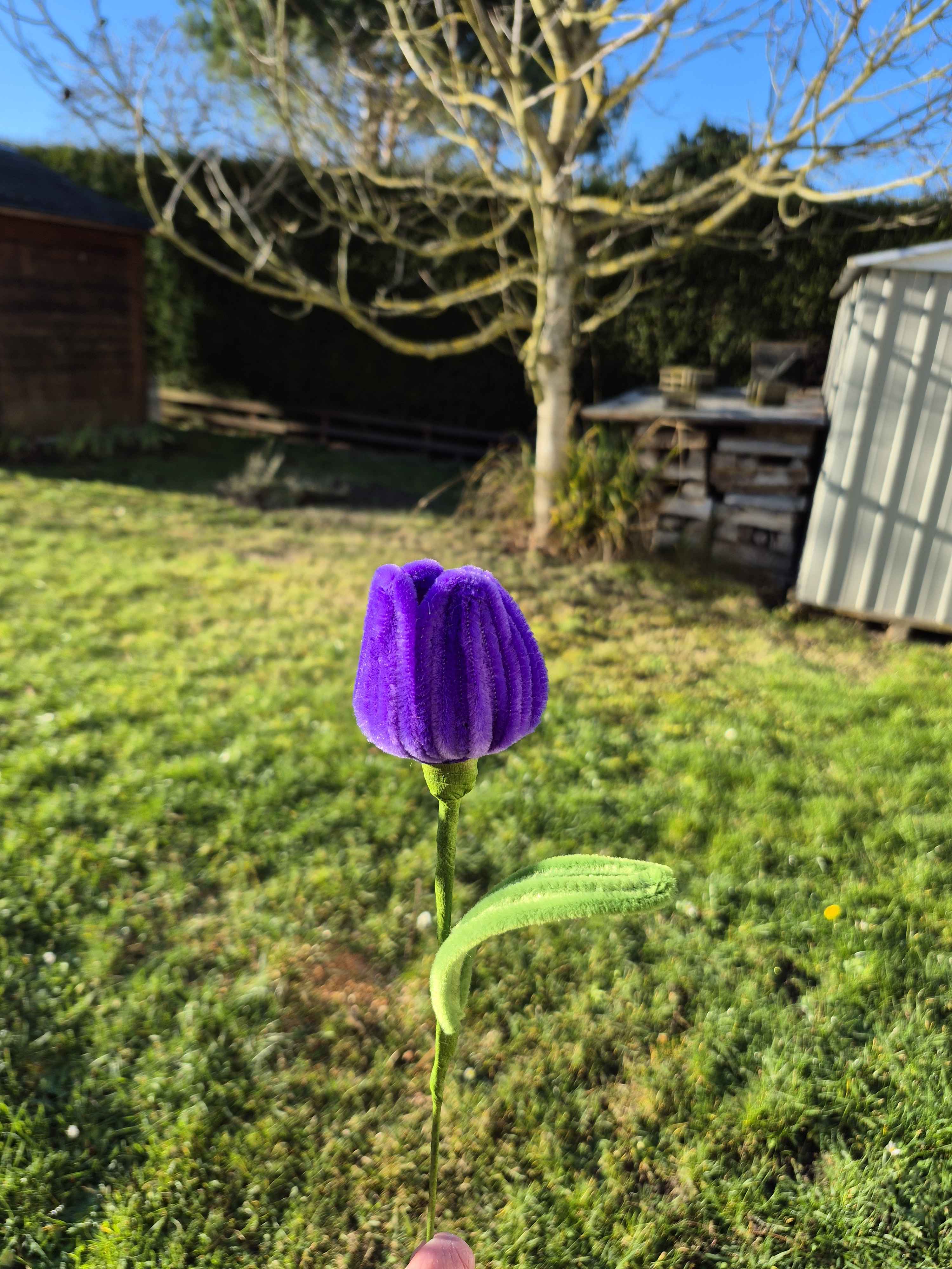 Tulipe fil chenille