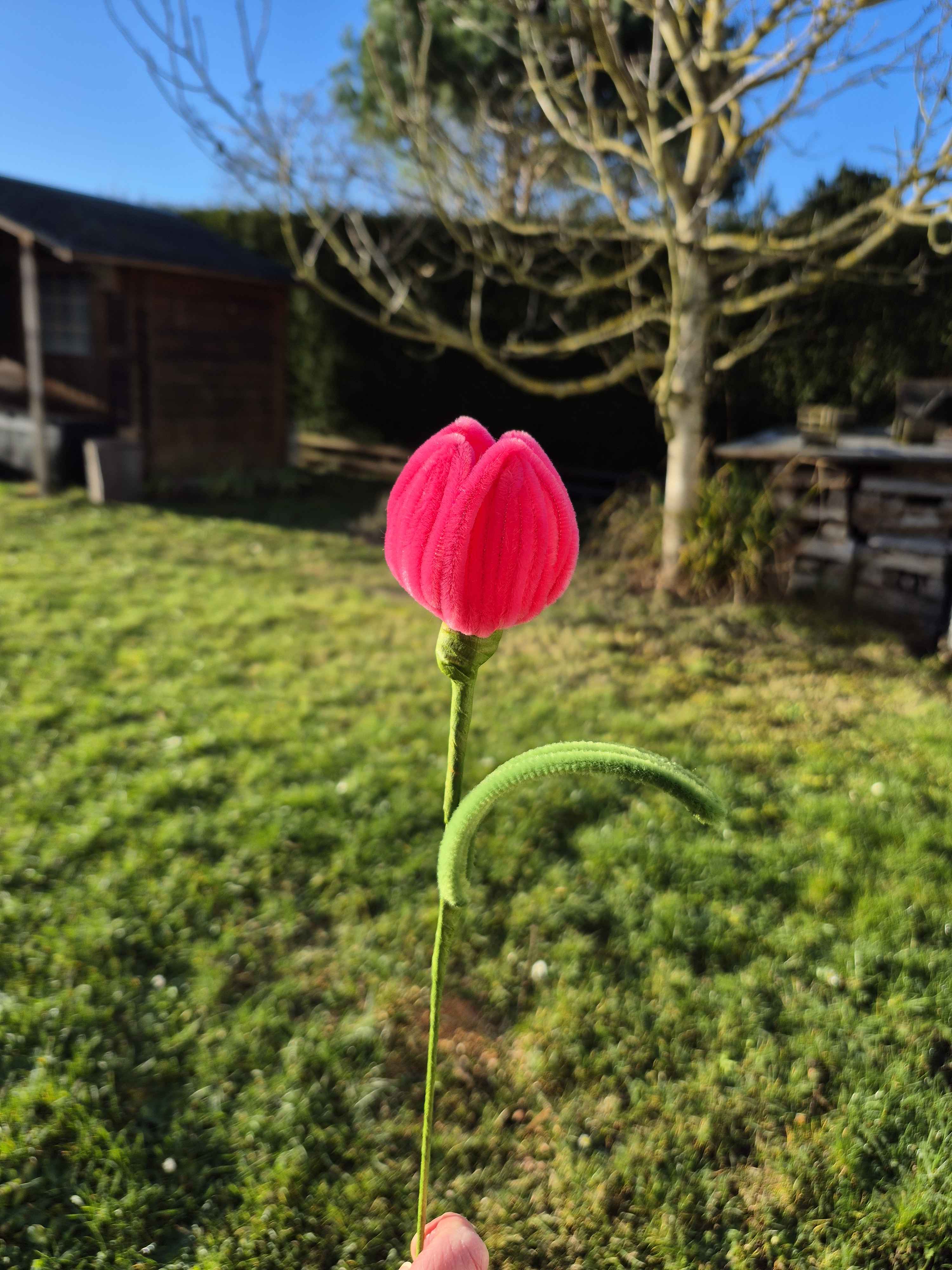 Tulipe fil chenille