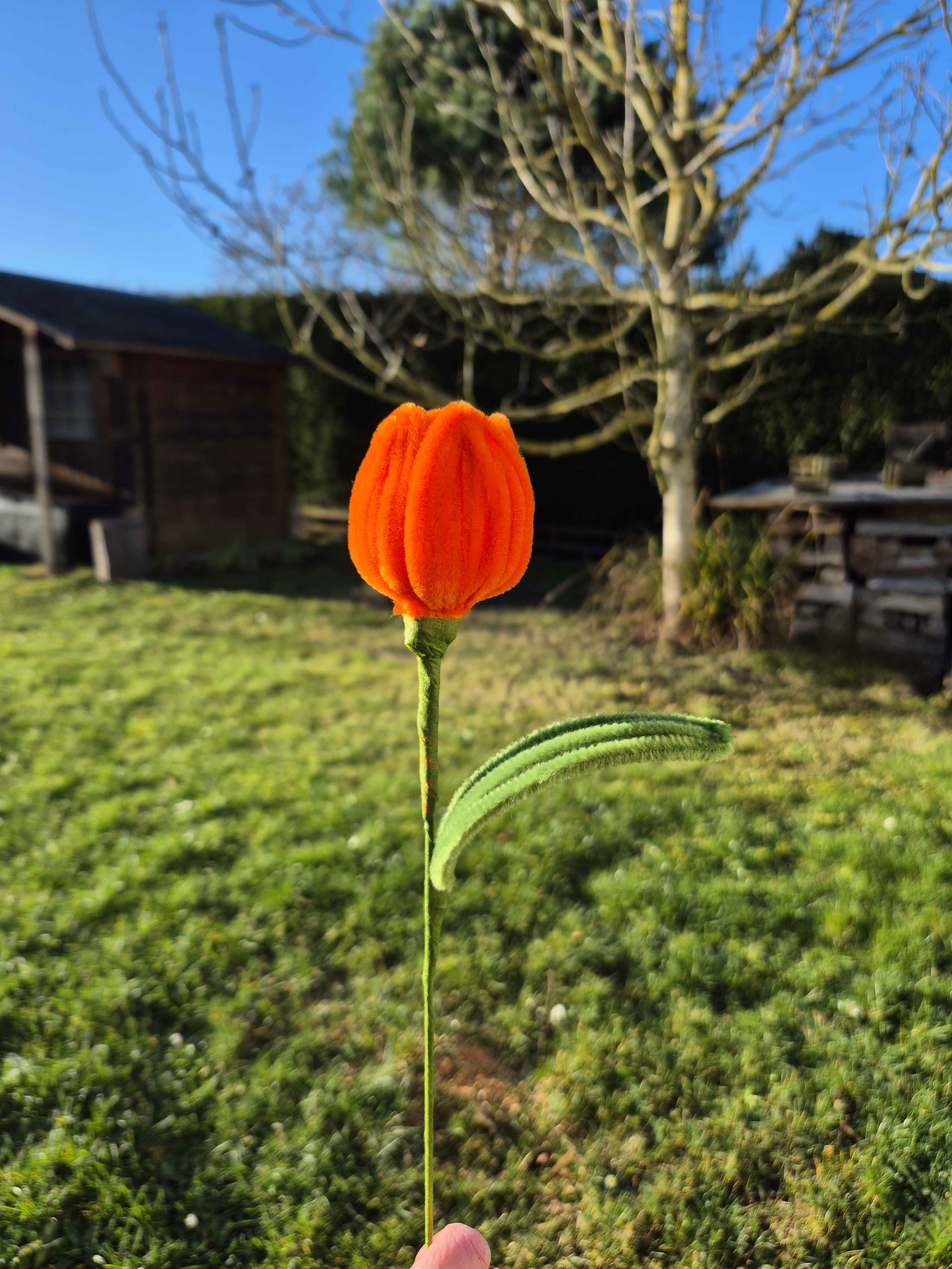 Tulipe fil chenille