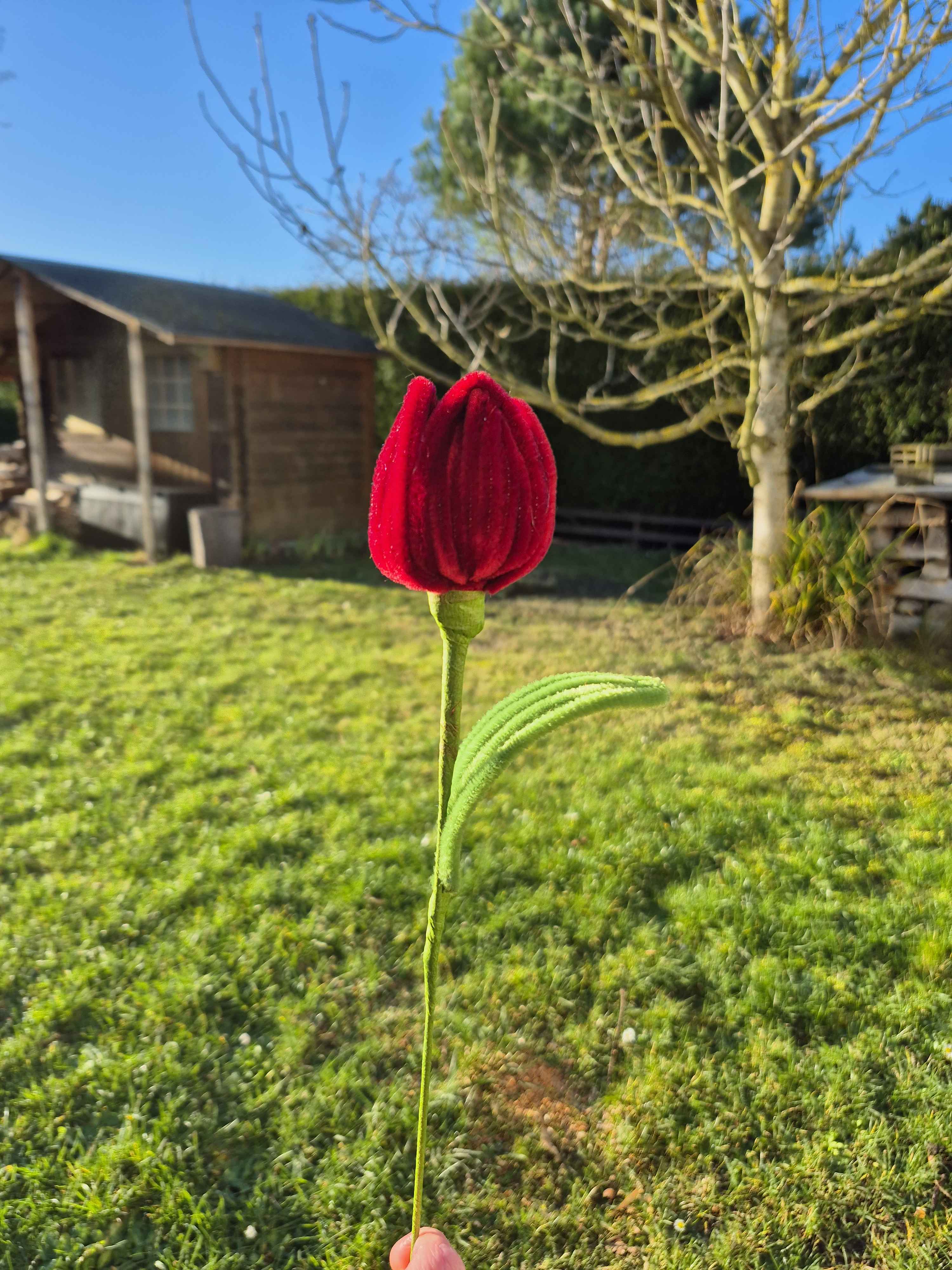 Tulipe fil chenille
