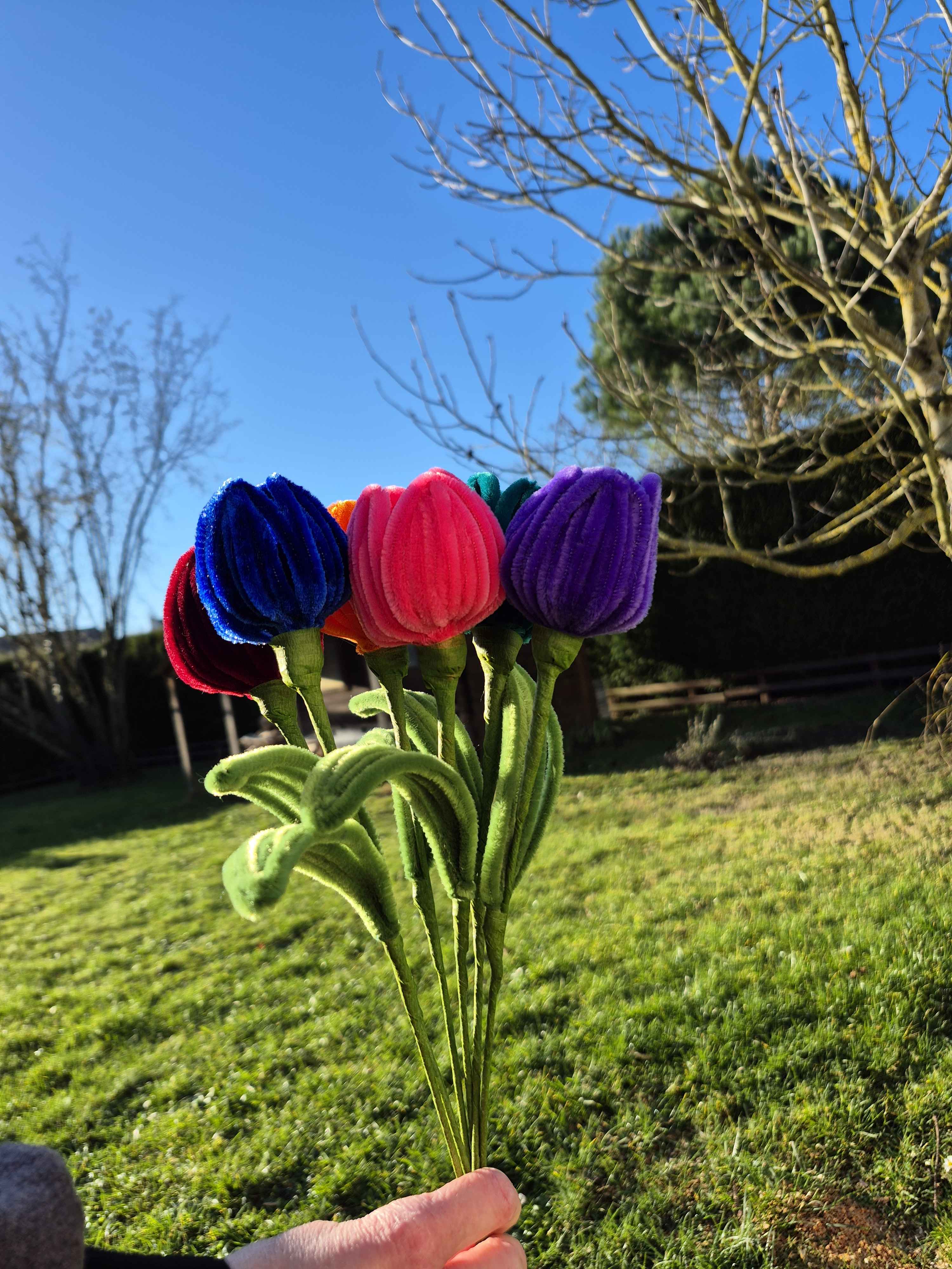 Tulipe fil chenille
