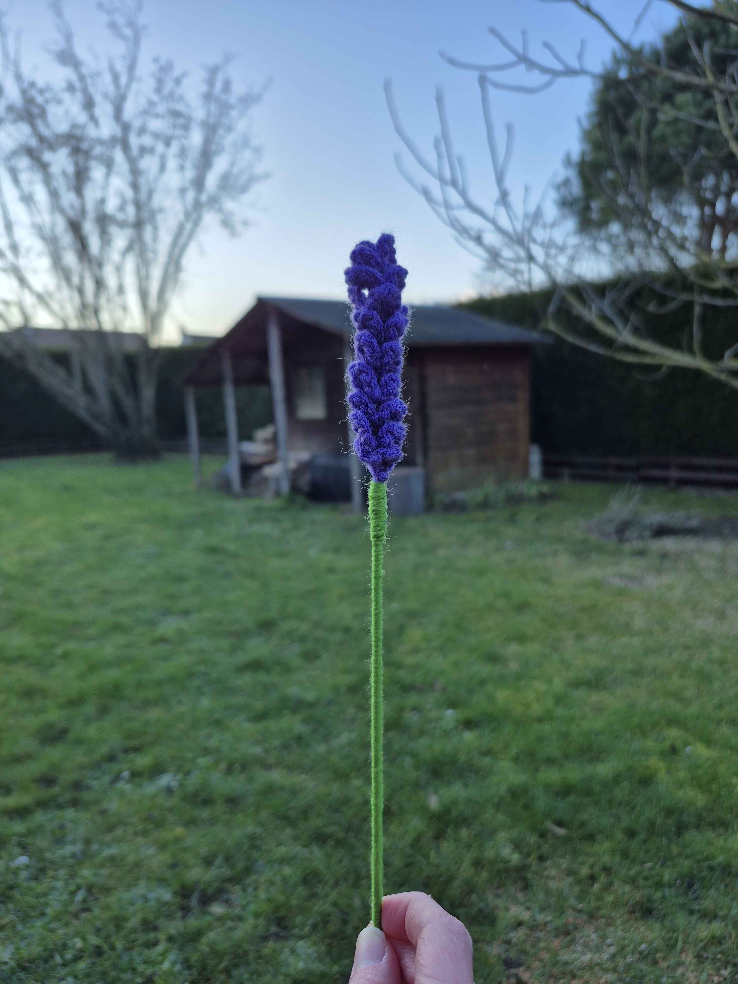 Brin de lavande crochet