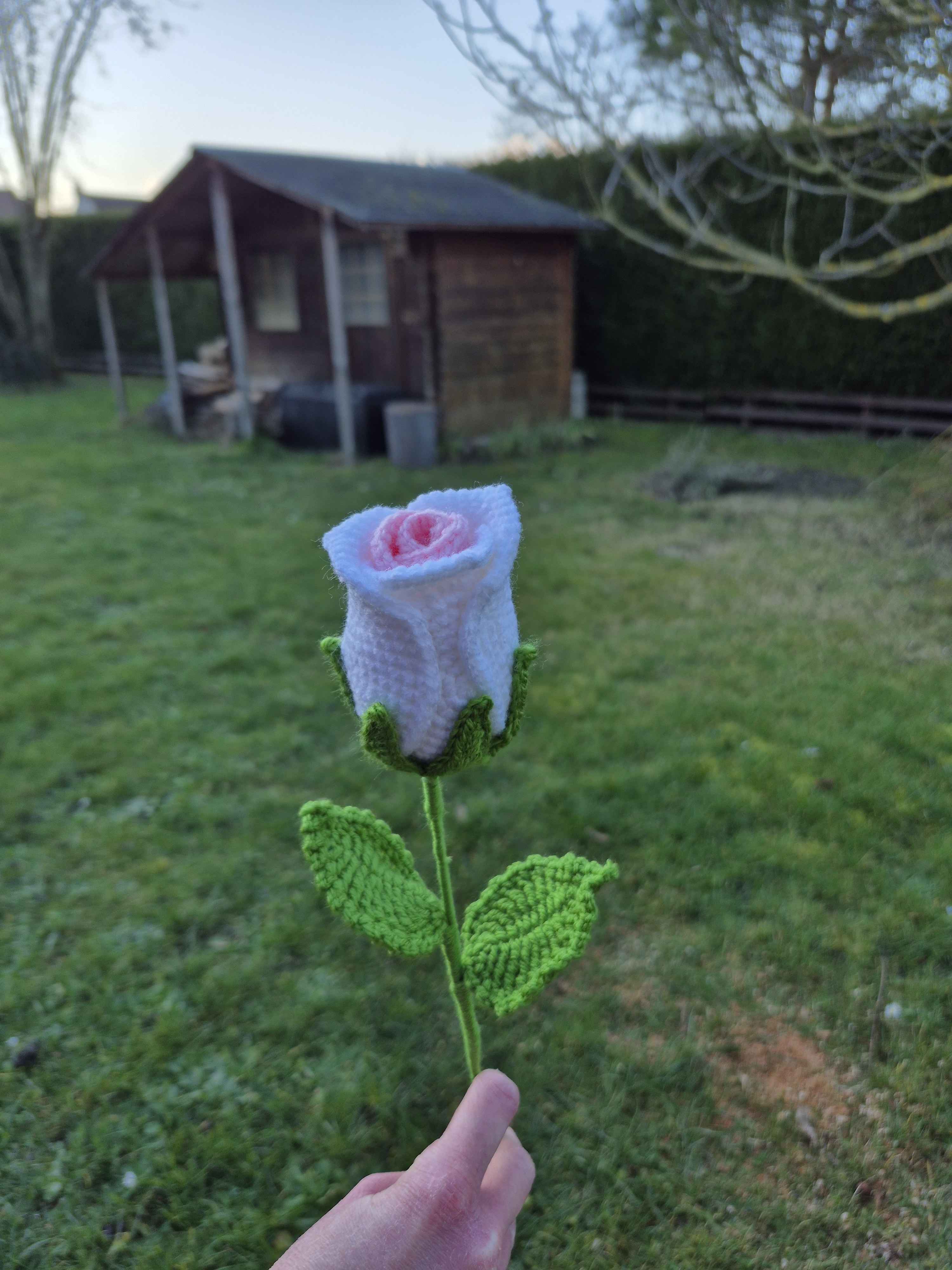 Rose crochet