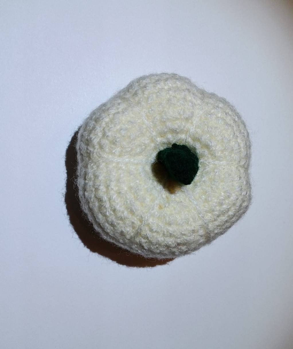 Citrouille crochet